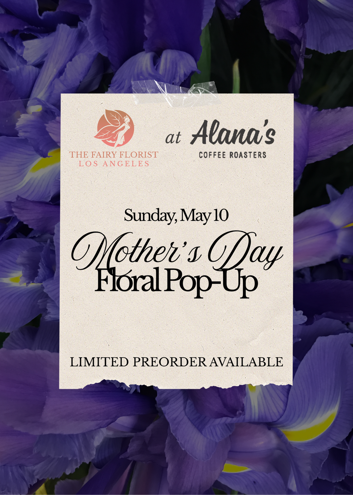 Mother's Day Pop Up