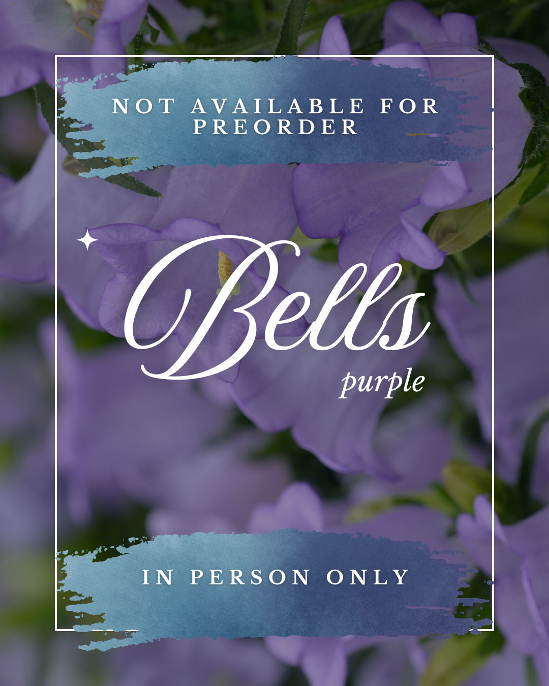 Bells, Purple