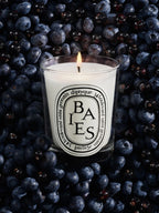 Dyptique Candle, Baies