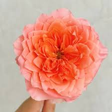 Artistic Bouquet, Peach