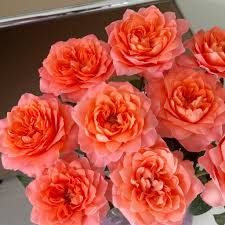 Classic Bouquet