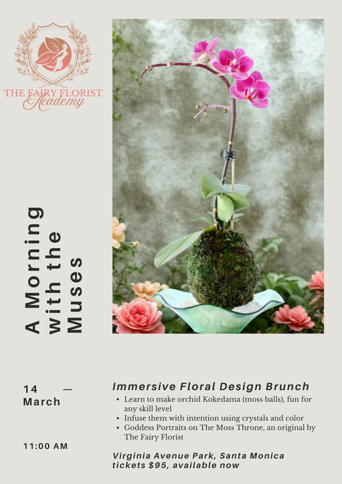 A Morning with the Muses