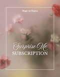 Surprise Me Subscription